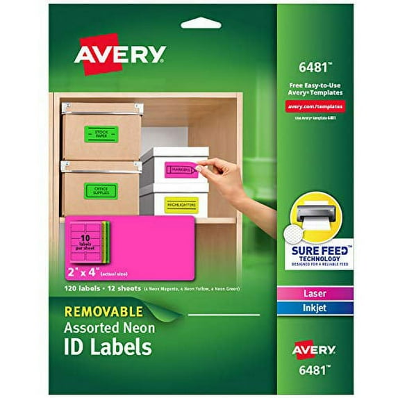 Avery Multipurpose Labels, Removable, Assorted Neon, 2 x 4 Inches, Pack of 120 (6481)