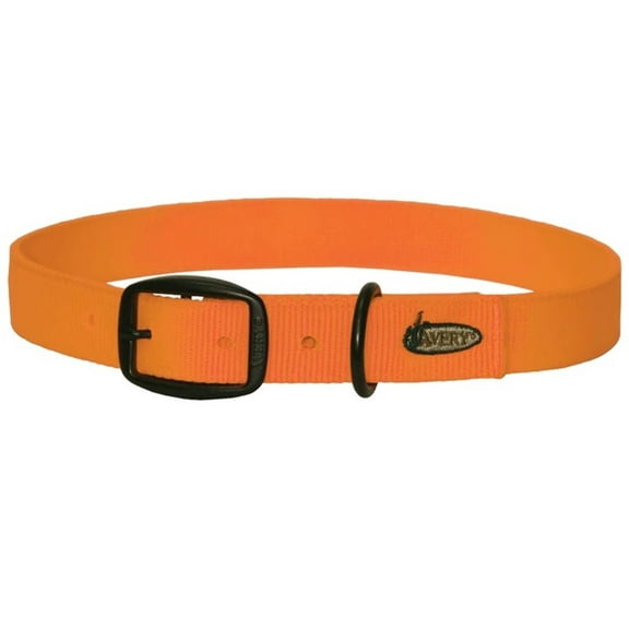 Standard Dog Collar