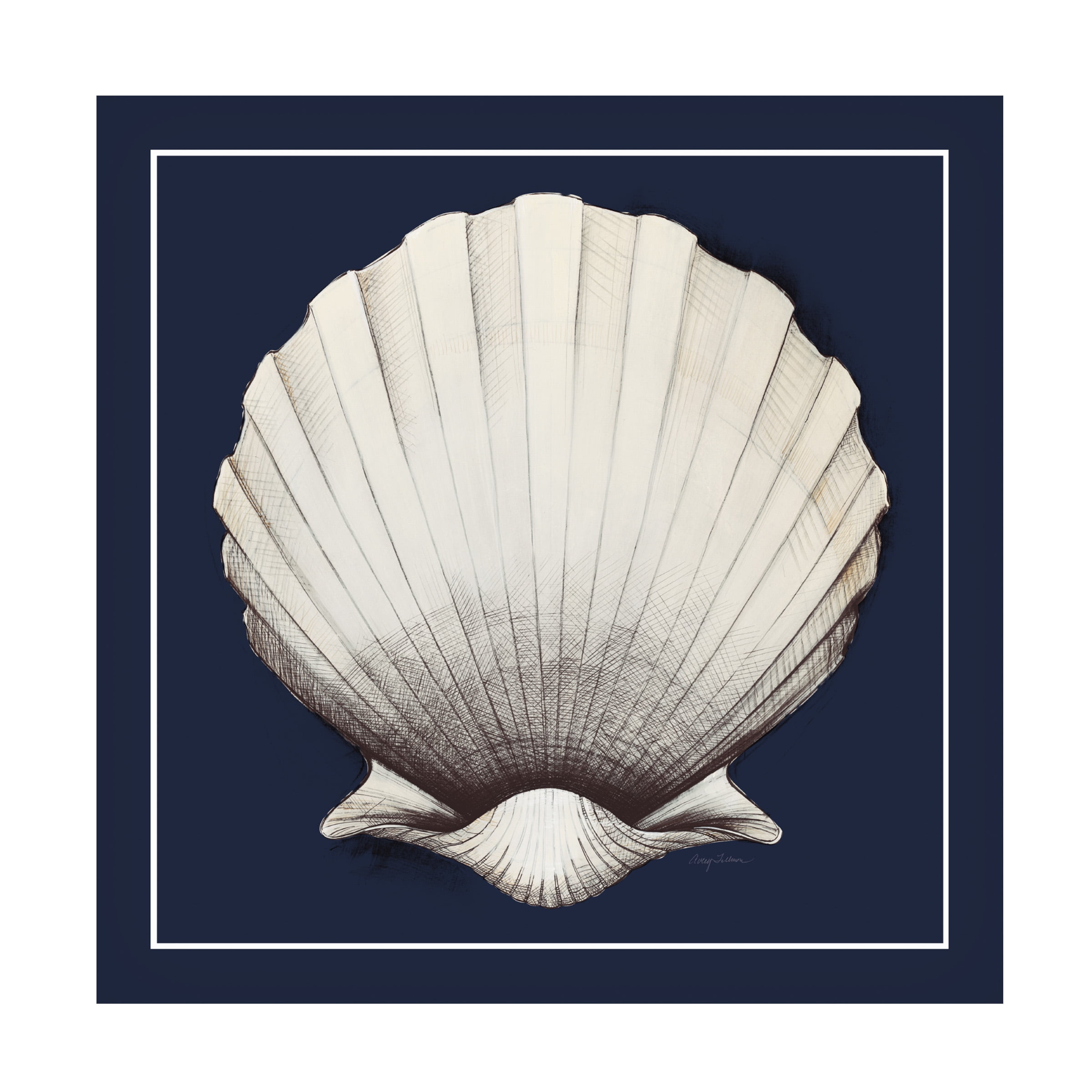 Avery Tillmon 'Coastal Shell II with Border Navy' Canvas Art