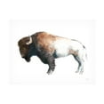 thumbnail image 1 of Avery Tillmon 'Colorful Bison Dark Brown' Canvas Art, 1 of 3
