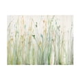 thumbnail image 1 of Avery Tillmon 'Spring Grasses II Crop' Canvas Art, 1 of 4