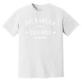 thumbnail image 1 of Avi Kaplan A Change On The Rise Music Fan Concert Tour Comfort Color T-Shirt, 1 of 4