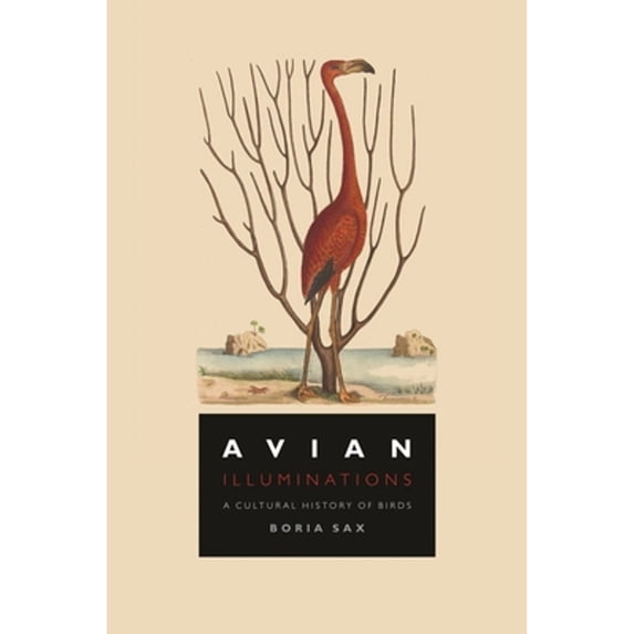Pre-Owned Avian Illuminations: A Cultural History of Birds (Hardcover) 1789144329 9781789144321