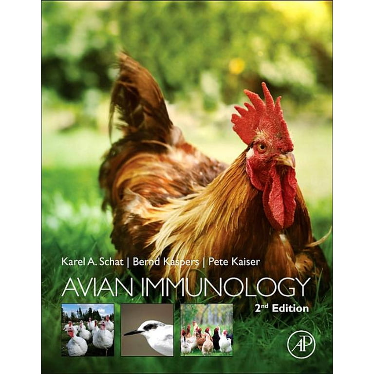 語学+参考書 Avian Immunology (Advances in Experimental Medicine and Biology) (Advances in Experimental Medicine and Biology 88) Avian Immunology: 9780128187081: Medicine & Health Science