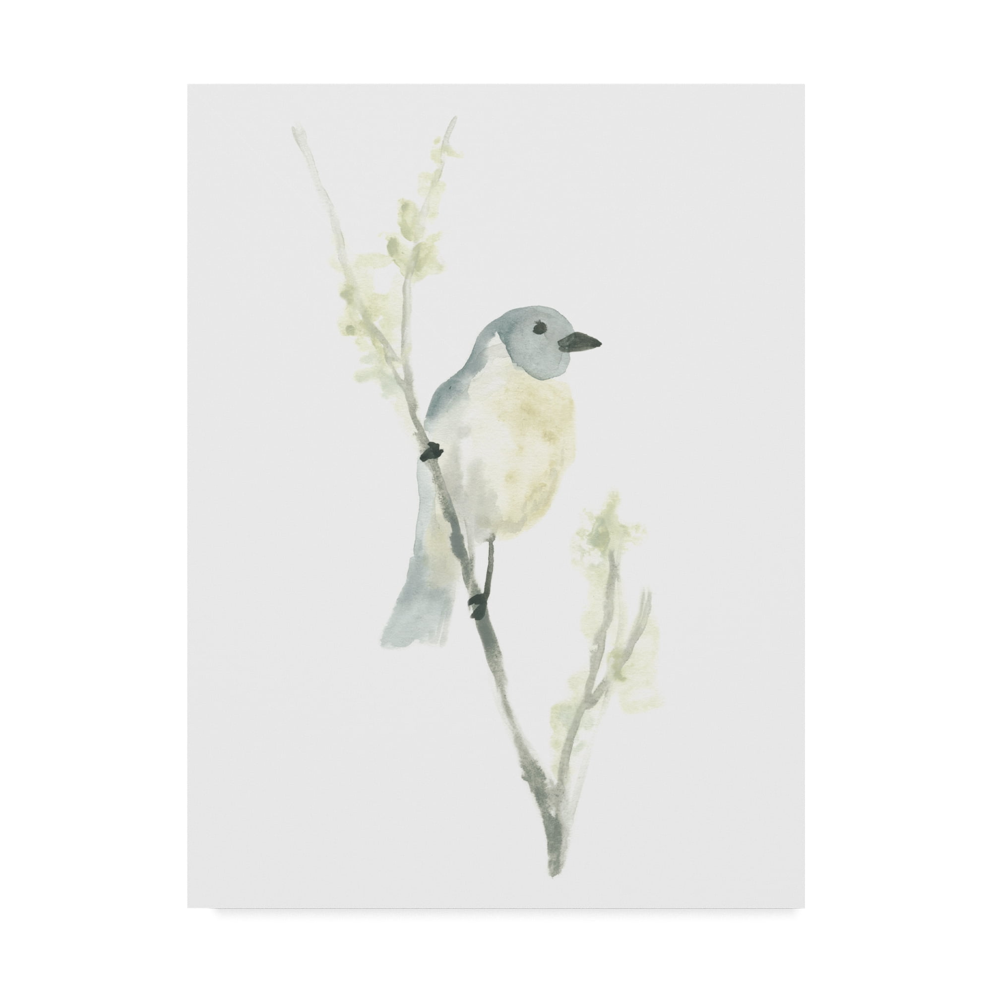 Avian Impressions III' Canvas Art by June Erica Vess