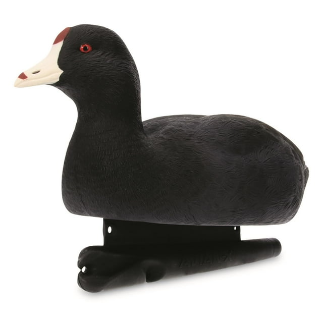 Avian X AVX-COOT Topflight Coot Floating Duck Hunting Decoy - Walmart.com