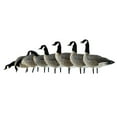 thumbnail image 1 of Avian X AXF Lessers Flocked Full Body Goose Hunting Decoys, 12 Pack, 1 of 12