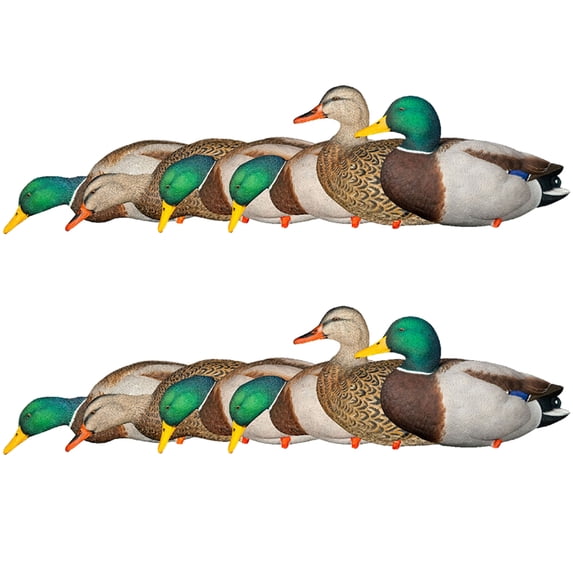 Avian X AXP Full Body Mallards Decoy, Realistic & Wind Activated, 12 Pack