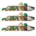 thumbnail image 1 of Avian X AXP Full Body Mallards Decoy, Realistic & Wind Activated, 18 Pack, 1 of 12