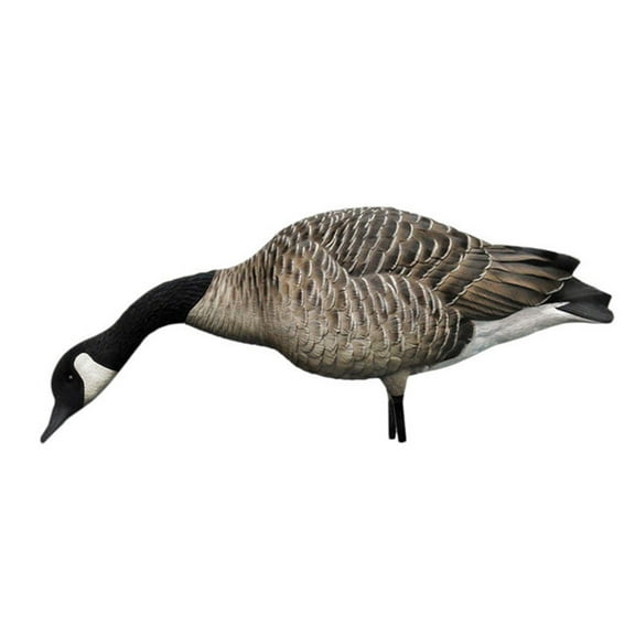 Avian X AXP Honkers Full Body Realistic Canada Goose Decoys Feeders Pack