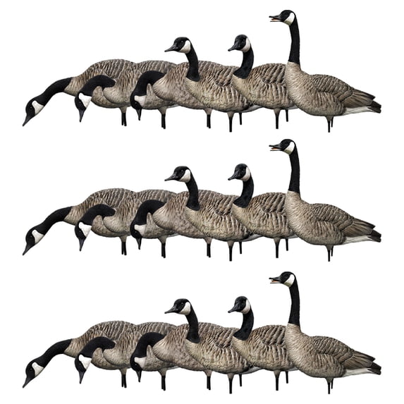 Avian X AXP Honkers Full Body Realistic Paint Canada Goose Decoys, 18 Pack