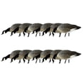 thumbnail image 1 of Avian X AXP Honkers Fusion Canada Goose Decoy Feeder Bodies, Set of 12, 1 of 2