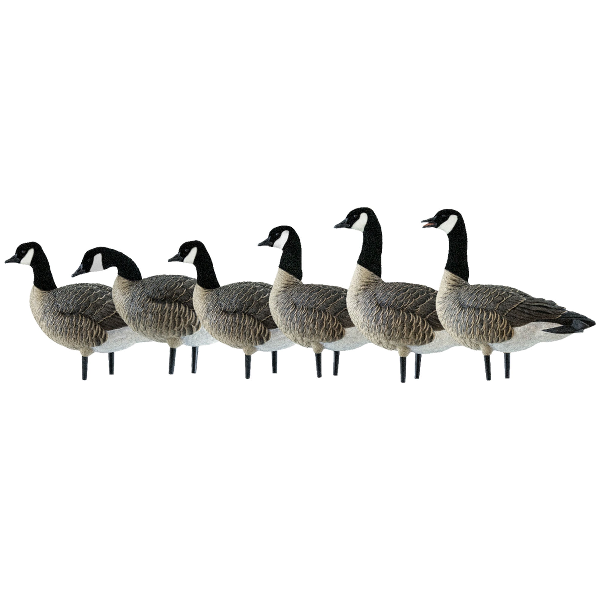 Avian X AXP Honkers Fusion Pack Lesser Canada Goose Decoys & Included ...