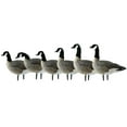thumbnail image 1 of Avian X AXP Honkers Fusion Pack Lesser Canada Goose Decoys & Included Bag, 1 of 8