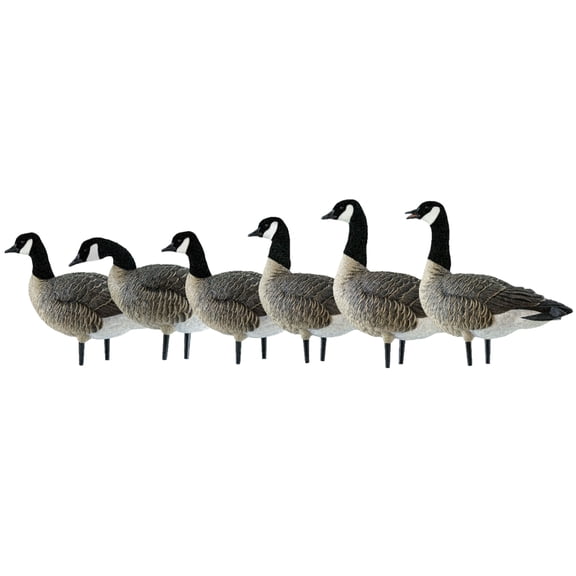 Avian X AXP Honkers Fusion Pack Lesser Canada Goose Decoys & Included Bag