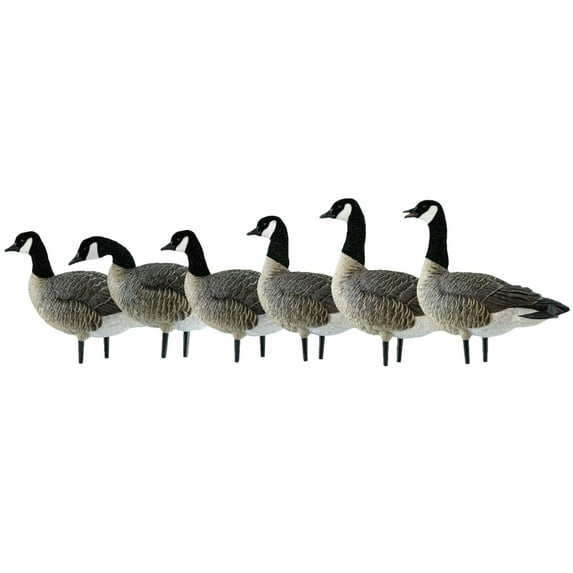 Avian X AXP Honkers Fusion Pack Lesser Canada Goose Decoys & Included Bag