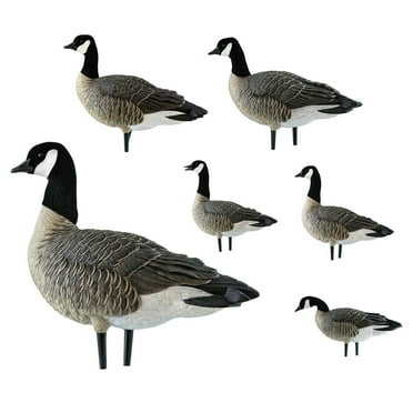 GHG Decoy Systems Pro Grade XD Canada Goose Decoys - Harvester 4 Pack