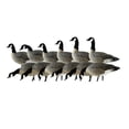 thumbnail image 1 of Avian X AXP Lessers Outfitter Pack, 12 Full Body Canada Goose Decoys w/ Bag, 1 of 12