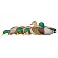 thumbnail image 1 of Avian-X AXP Mallards: Fusion Pack, 1 of 6