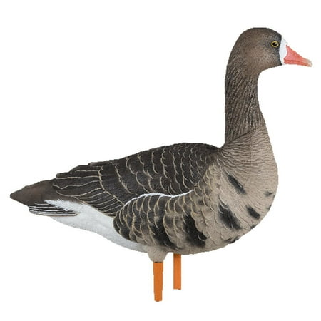 Avian-X AXP Painted Fusion Specklebelly Goose Decoys