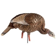 Avian-X HDR Feeding Hen Turkey Decoy - AVX8107