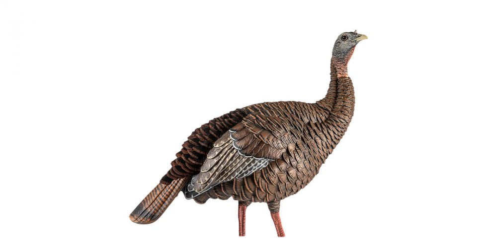 Avian-X-HDR-Hen-Turkey-Decoy- Avian-X-HDR-Hen-Turkey-Decoy-