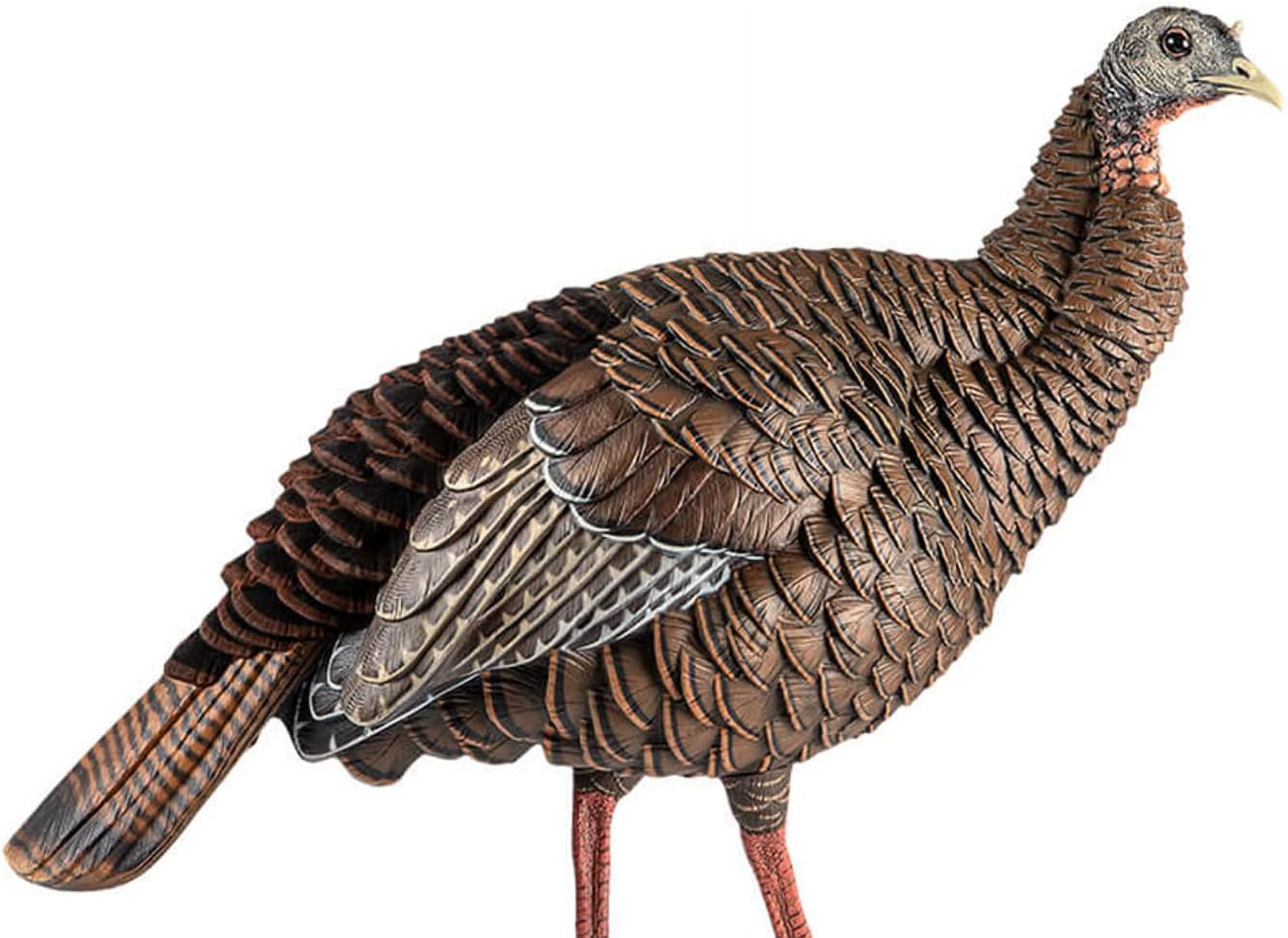 AvianX HDR Hen Turkey Decoy Durable Realistic Lifelike Standing