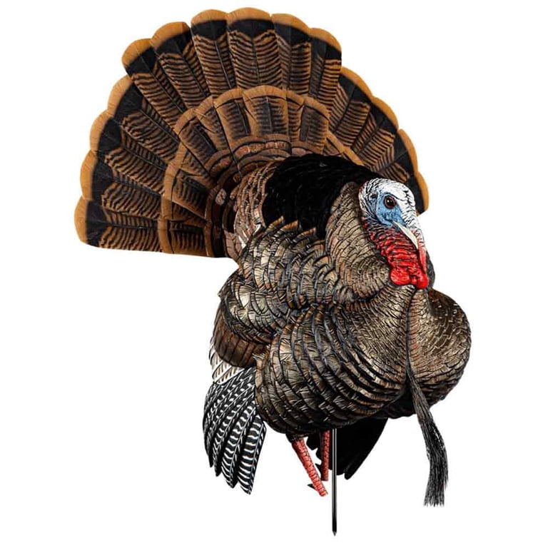 Avian-X, HDR Strutter Adjustable Tail Fan Realistic Turkey Decoy