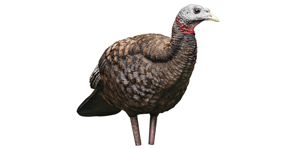 Avian-X Turkey Decoys in Decoys - Walmart.com Avian-X Turkey Decoys in Decoys - Walmart.com