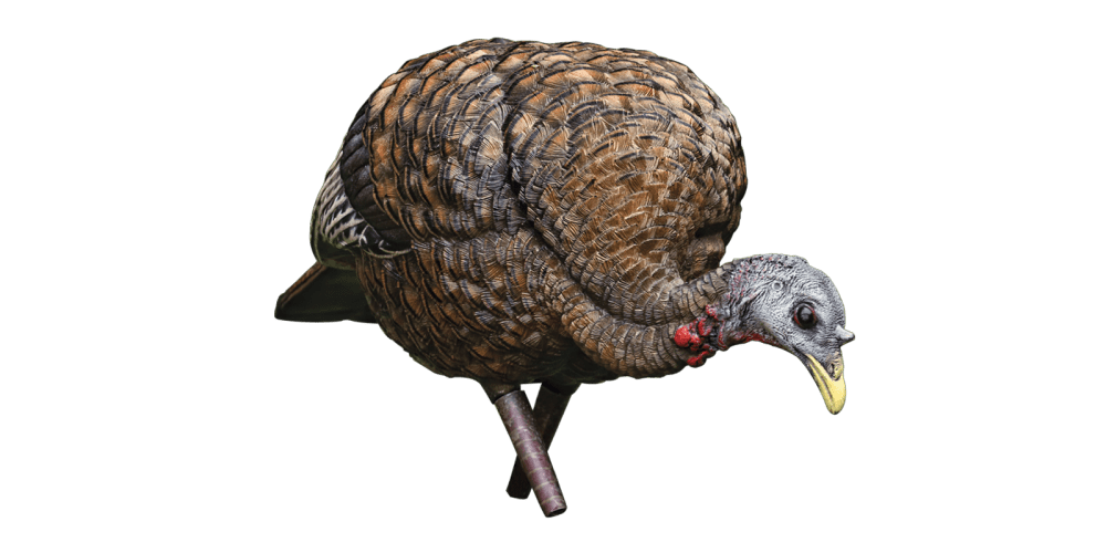 Avian-X LCD Feeder Hen - Thumbnail 4