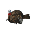 thumbnail image 1 of AVIAN-X LCD Half-Strut Jake Turkey Decoy | Durable Realistic Lifelike Collapsible Standing Hunting Decoy with Carry Bag & Stake, AVX8012, 1 of 7
