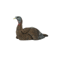 thumbnail image 1 of AVIAN-X LCD Laydown Hen Turkey Decoy | Durable Realistic Lifelike Collapsible Standing Hunting Decoy with Carry Bag & Stake, AVX8011, 1 of 7