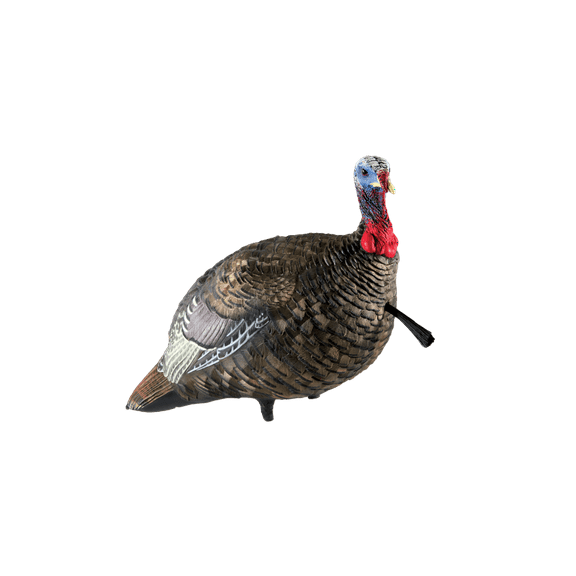 AVIAN-X LCD Jake Quarter Strut Durable Realistic Lifelike Collapsible Standing Folding Hunting Turkey Decoy with Carry Bag & Stake, AVX8003