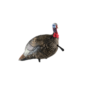 AVIAN-X LCD Jake Quarter Strut Durable Realistic Lifelike Collapsible Standing Folding Hunting Turkey Decoy with Carry Bag & Stake, AVX8003