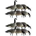 thumbnail image 1 of Avian X Lessers 6 Piece Fusion Realistic Goose Hunting Decoy, 2 Pack, 1 of 10