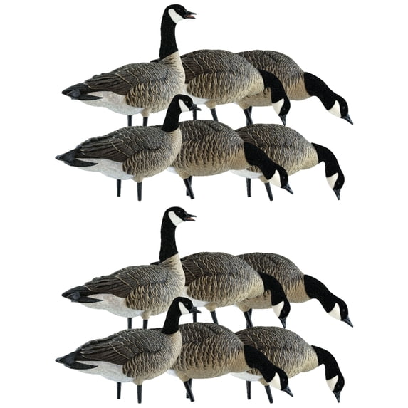 Avian X Lessers 6 Piece Fusion Realistic Goose Hunting Decoy, 2 Pack