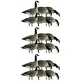 thumbnail image 1 of Avian X Lessers 6 Piece Fusion Realistic Goose Hunting Decoy, 3 Pack, 1 of 10