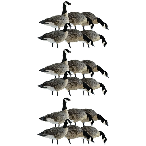 Avian X Lessers 6 Piece Fusion Realistic Goose Hunting Decoy, 3 Pack