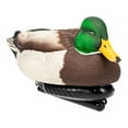 thumbnail image 1 of Avian X Power Swimmer Mallard Drake Motion Duck Decoy with 10+ Hour Battery, 1 of 12