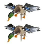Avian X PowerFlight Mallard Weatherproof Spinning Wing Duck Decoy, 2 Pack