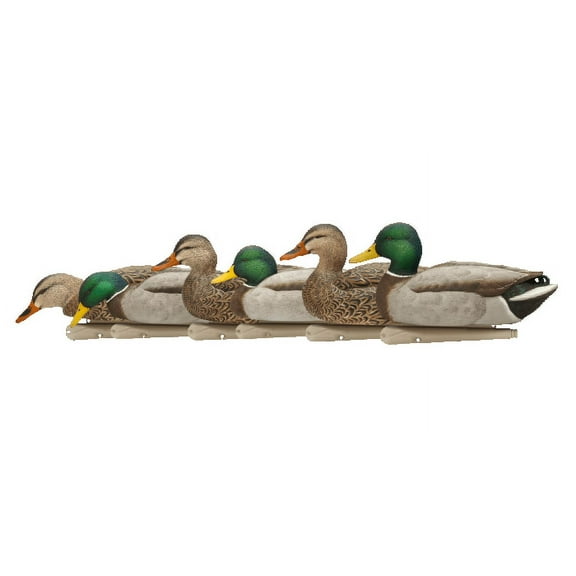AVIAN-X Topflight Fusion Mallards Durable Ultra Realistic Floating Hunting Duck Decoys, Pack of 6, AVX8076