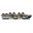 thumbnail image 1 of Avian X Topflight Gadwall Decoys Perfectly Replicated Late Season Gray Ducks, Weight Forward Swim Keel, Realistic Movement, 1 of 12