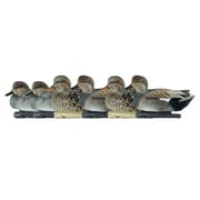 Avian X Topflight Gadwall Decoys Perfectly Replicated Late Season Gray Ducks, Weight Forward Swim Keel, Realistic Movement