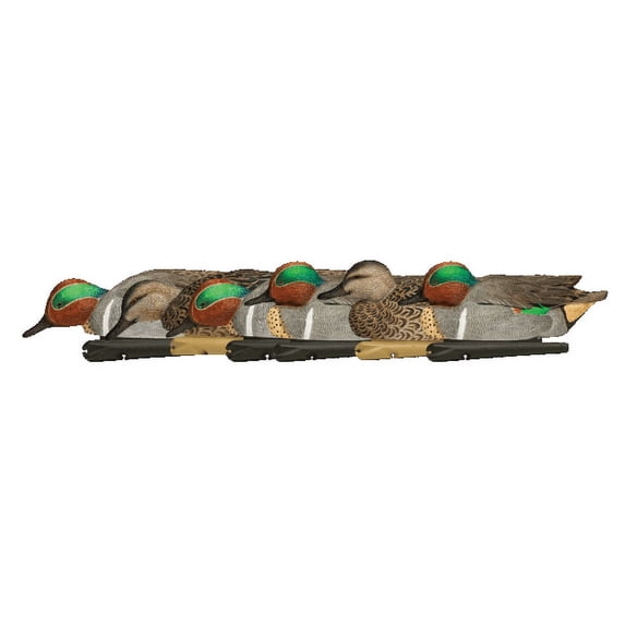 AVIAN-X Topflight Green-Winged Teal Durable Ultra Realistic Floating Hunting Duck Decoys, Pack of 6, AVX8081