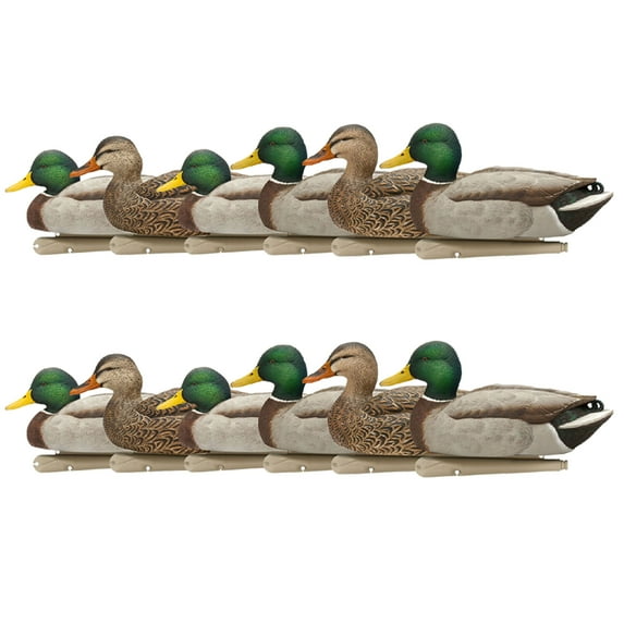 Avian X Top Flight Open Water Mallards Decoys, Ultra Realistic, 12 Pack