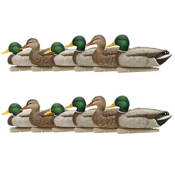 Avian X Top Flight Open Water Mallards Decoys, Ultra Realistic, 12 Pack