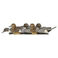 thumbnail image 1 of AVIAN-X Topflight Pintails Durable Ultra Realistic Floating Hunting Duck Decoys, Pack of 6, AVX8082, 1 of 13