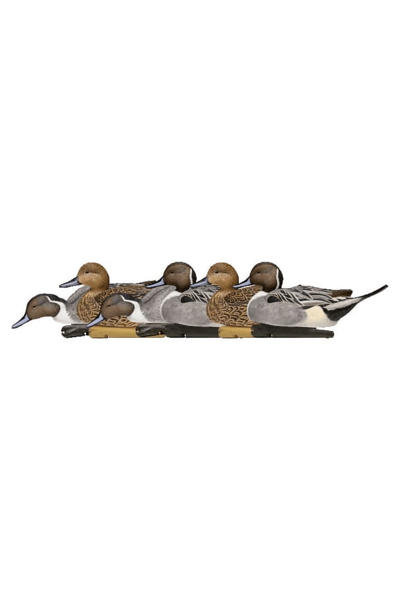 Topflight Pintails Durable Ultra Realistic Floating Hunting Duck Decoys, Pack of 6, AVX8082
