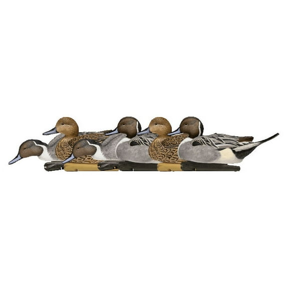 AVIAN-X Topflight Pintails Durable Ultra Realistic Floating Hunting Duck Decoys, Pack of 6, AVX8082