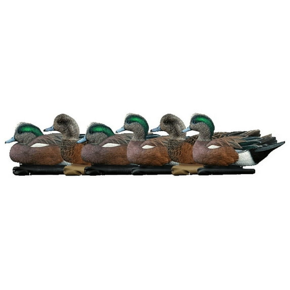 AVIAN-X Topflight Wigeon Durable Ultra Realistic Floating Hunting Duck Decoys, Pack of 6, AVX8084